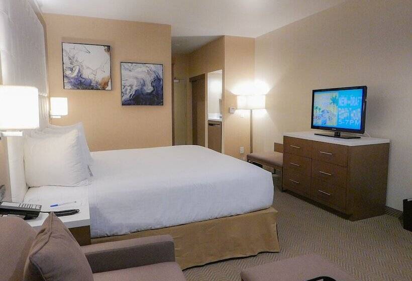 Deluxe-huone Soveltuu Liikuntarajoitteisille, Wyndham Anaheim