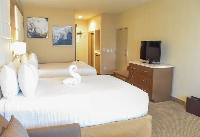 Deluxe-huone Soveltuu Liikuntarajoitteisille, Wyndham Anaheim