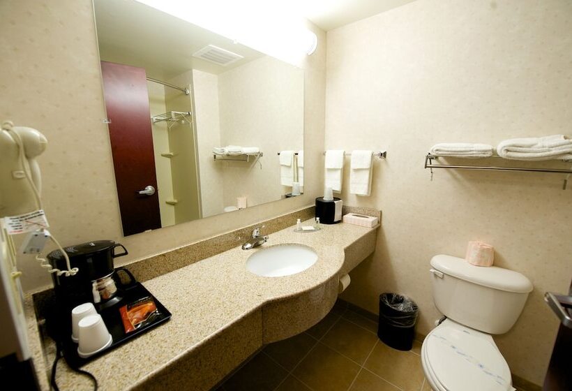 Номер Стандарт 2 Двуспальные Кровати, Executive Inn & Suites Upper Marlboro