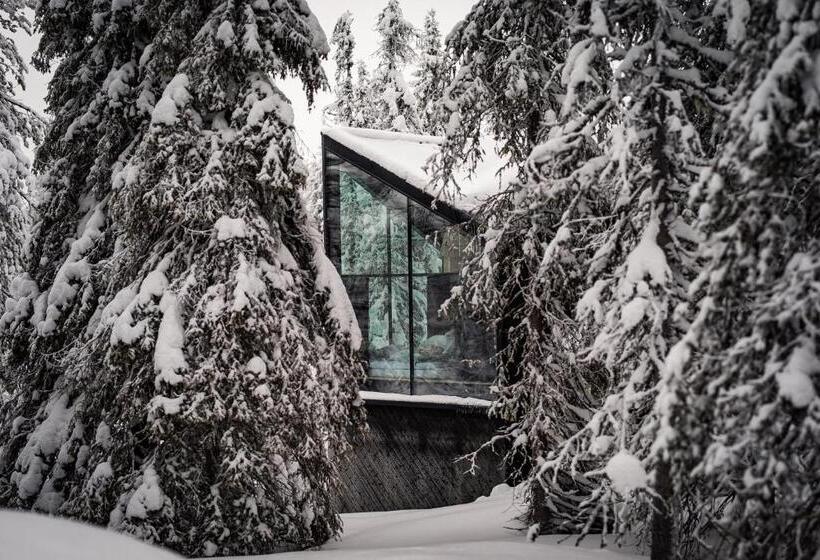 带景观的三人标准房间, Magical Pond Nature Igloos
