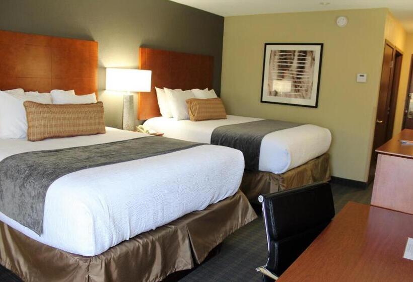 标准间, Best Western Delta Inn