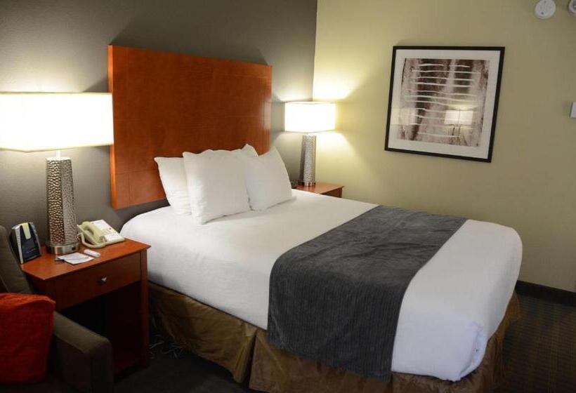 适合残疾人使用的标准间, Best Western Delta Inn