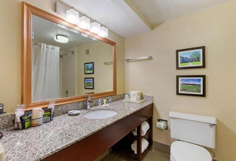 Стандартный Номер Кровать Кинг, Comfort Inn & Suites Durham Near Duke University