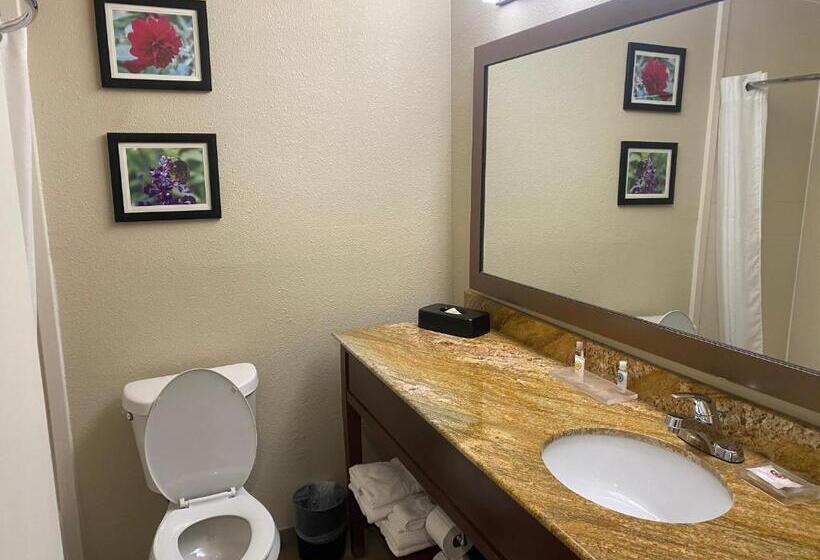 스탠다드 룸 더블 침대 2개, Comfort Inn & Suites Temple   Medical Center