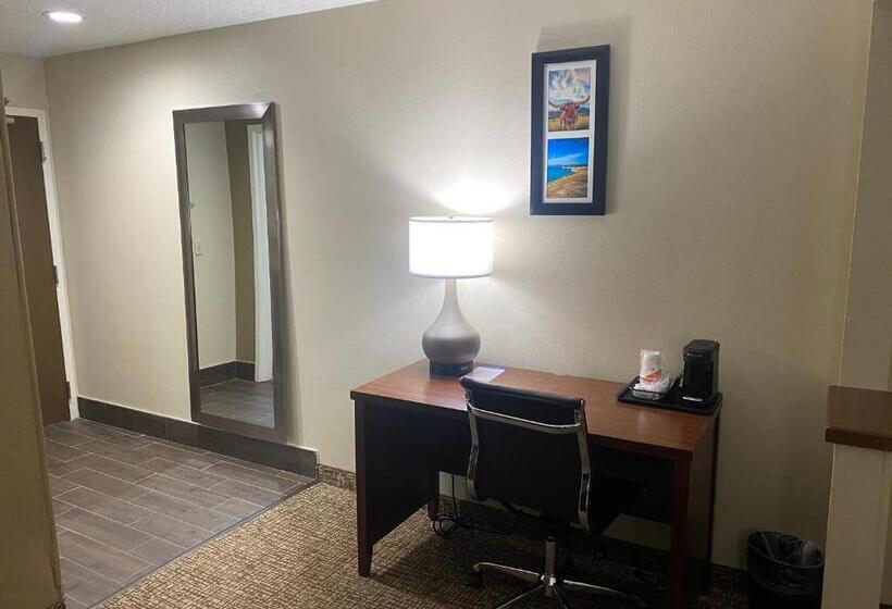 스위트 킹사이즈 침대, Comfort Inn & Suites Temple   Medical Center