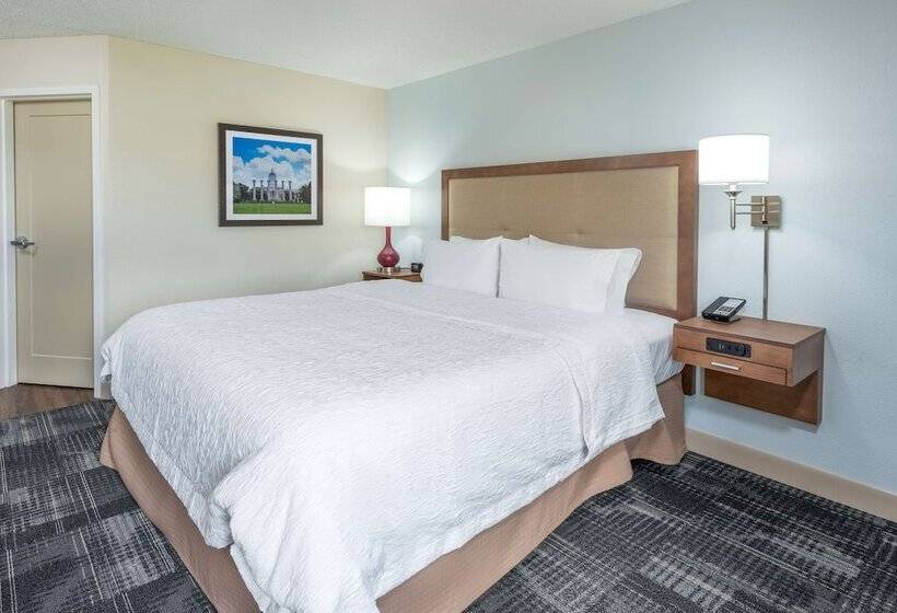 带大床的标准间, Hampton Inn Columbia
