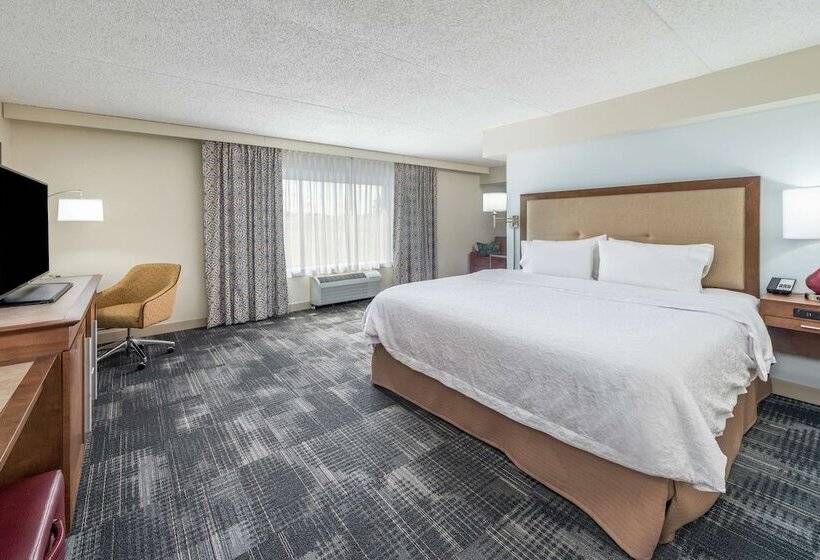 带大床的标准间, Hampton Inn Columbia