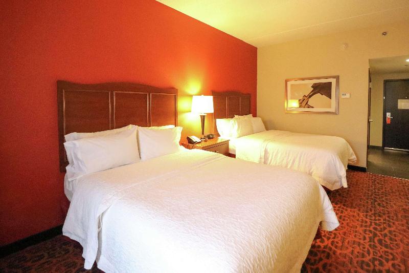 Номер Стандарт Кровать Кинг Адаптированный для Инвалидов, Hampton Inn Columbus South