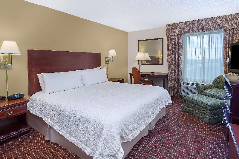 스탠다드 룸 킹사이즈 침대, Hampton Inn Conyers