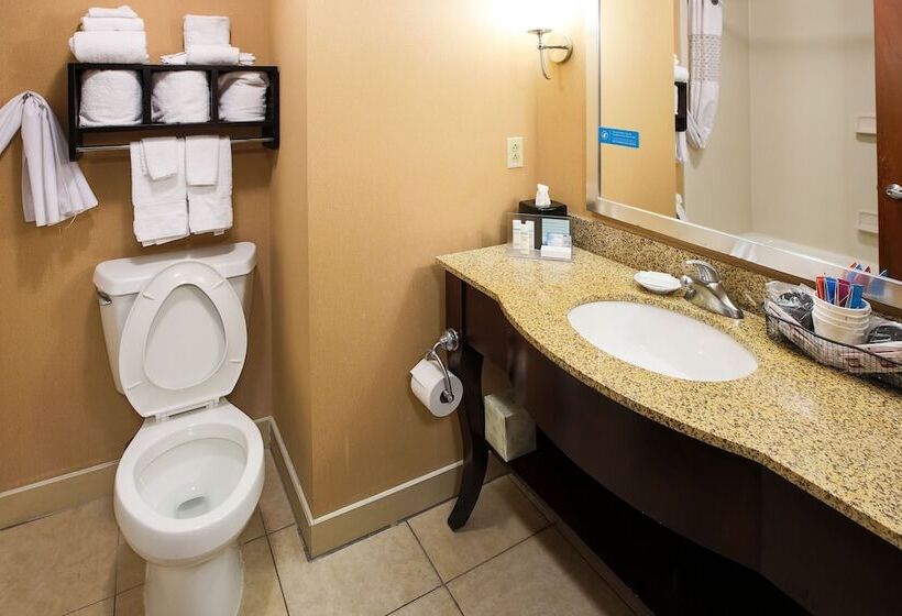 带2个双人床的标准工作室, Hampton Inn Elizabethtown Ky