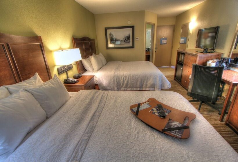 Pokój Standard 2 Łóżka Małżeńskie, Hampton Inn Gatlinburg