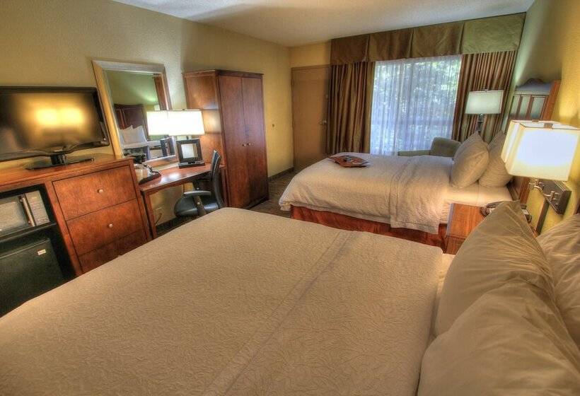 Pokój Standard 2 Łóżka Małżeńskie, Hampton Inn Gatlinburg