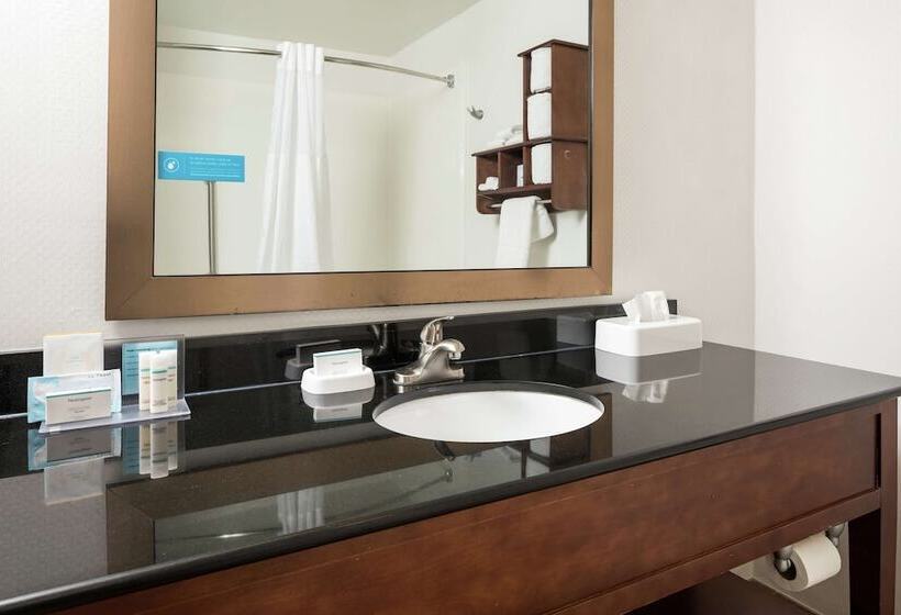 스탠다드 룸 퀸사이즈 침대, Hampton Inn Helen