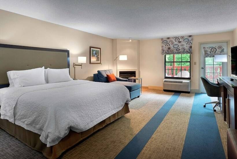 스탠다드 룸 킹사이즈 침대, Hampton Inn Helen