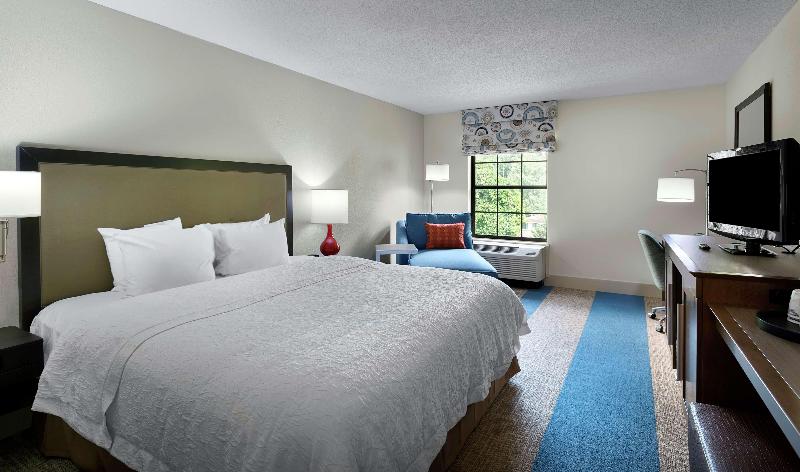 스탠다드 룸 킹사이즈 침대, Hampton Inn Helen