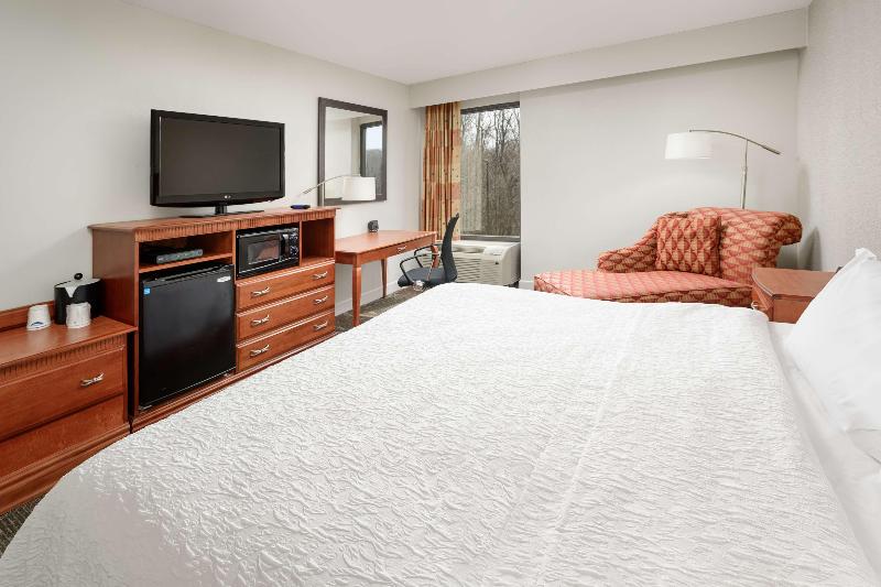 带大床的标准间, Hampton Inn Oak Ridge Knoxville