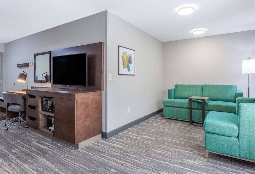 Номер Стандарт, Hampton Inn Sioux Falls