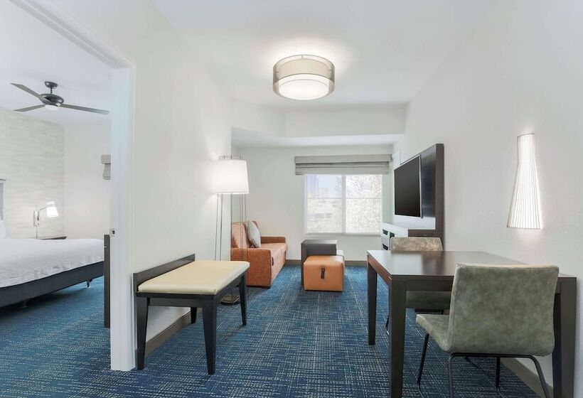 Люкс, Hampton Inn & Suites Denver Tech Center