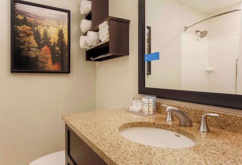 Люкс, Hampton Inn & Suites Denver Tech Center
