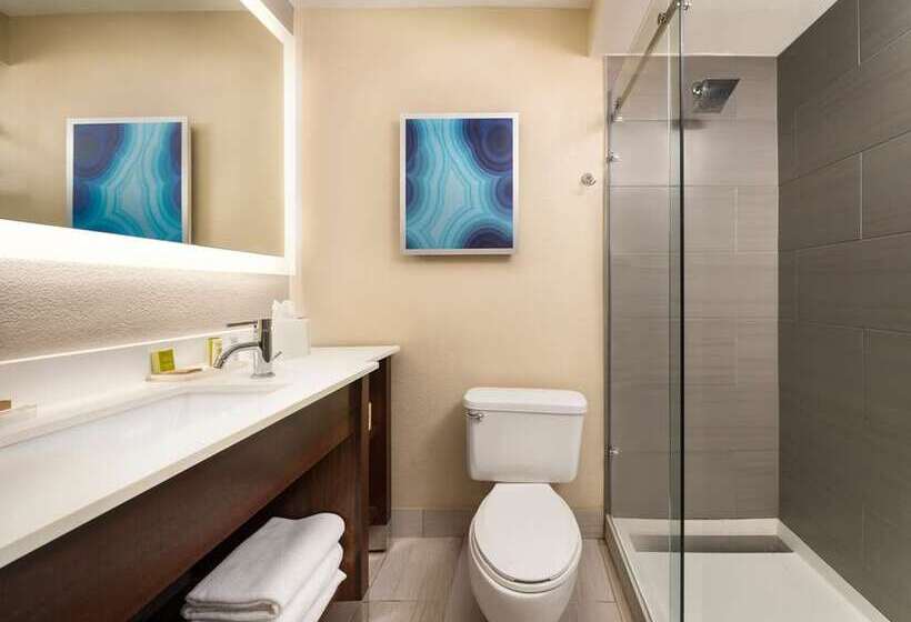스탠다드 내측 룸, Hilton Clearwater Beach Resort & Spa