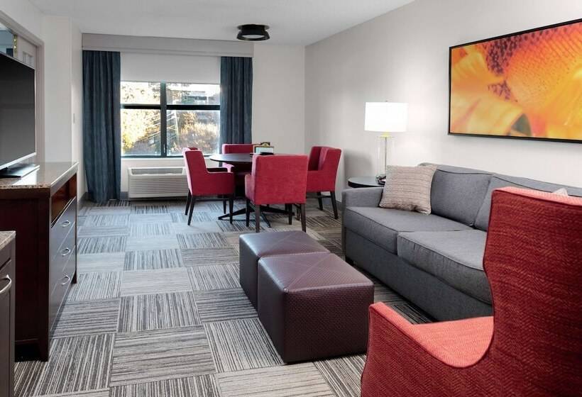 주니어 스위트, Hilton Garden Inn Atlanta Perimeter Center