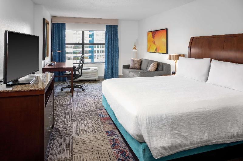 스탠다드 룸 킹사이즈 침대, Hilton Garden Inn Atlanta Perimeter Center