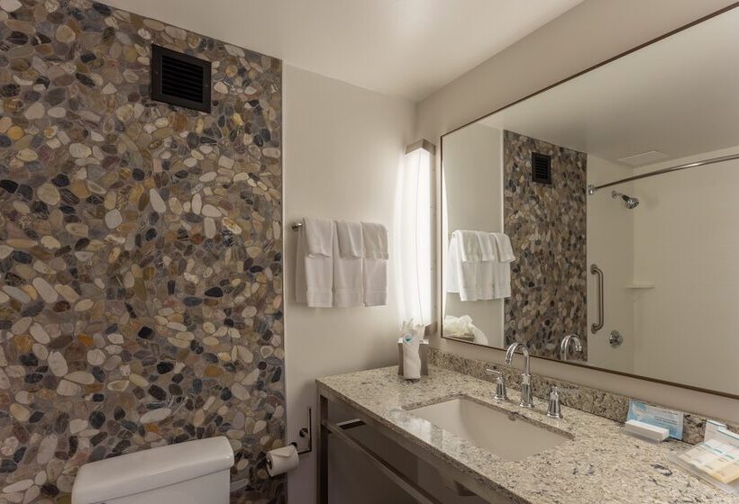 חדר פרמיום, Hilton Garden Inn Owings Mills