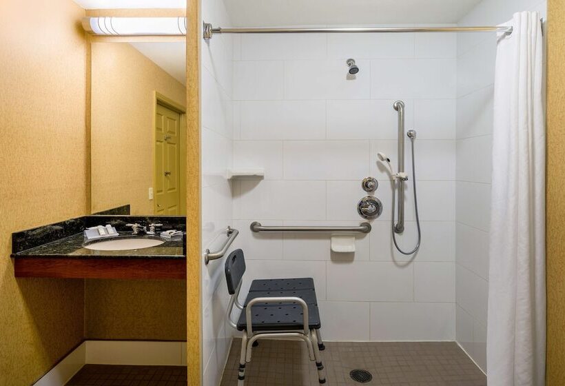 适合残疾人使用的标准间, Hilton Garden Inn Colorado Springs North
