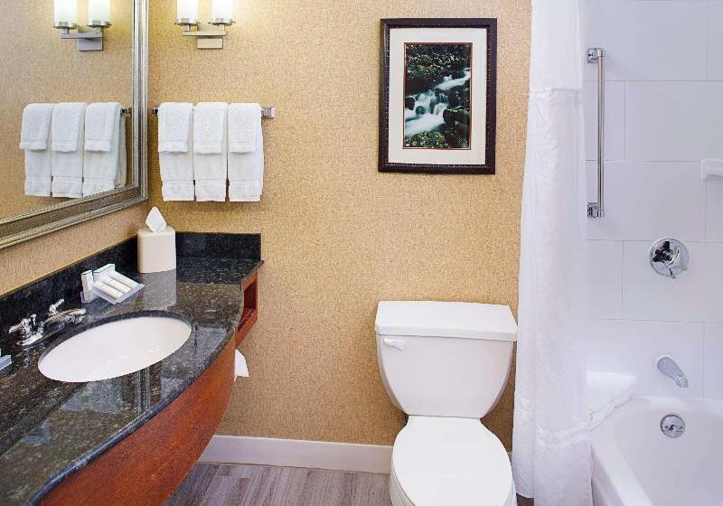 标准间, Hilton Garden Inn Colorado Springs North