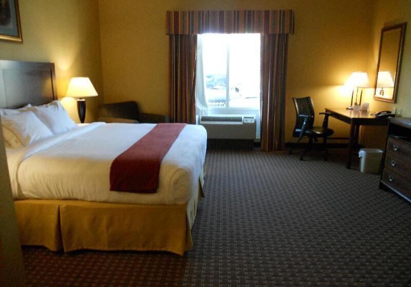适合残疾人士使用的带超级大床的标准间, Hilton Garden Inn Colorado Springs North