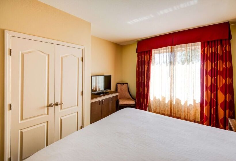 חדר סטנדרט, Hilton Garden Inn Tampa Ybor Historic District