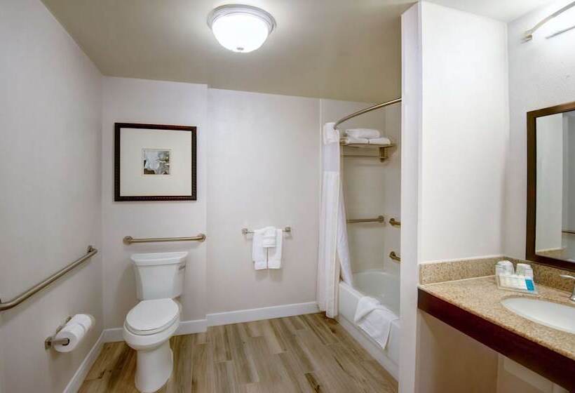 חדר סטנדרט, Hilton Garden Inn Tampa Ybor Historic District