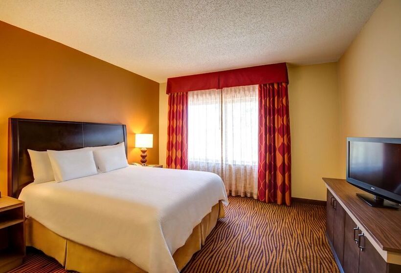 סוויטה, Hilton Garden Inn Tampa Ybor Historic District