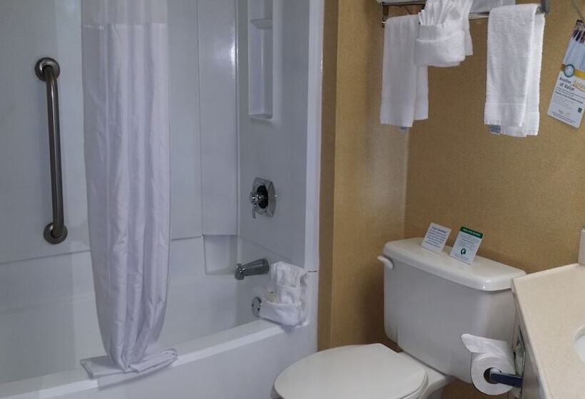 Номер Стандарт 2 Двуспальные Кровати, Quality Inn Colorado Springs South
