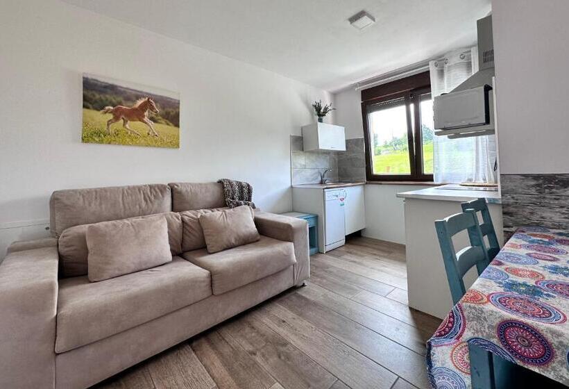 Апартаменты 1 Спальня, Apartamentos Rurales Sobremazas