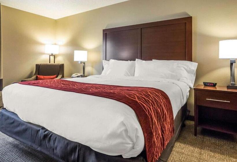 스탠다드 룸 킹사이즈 침대, Comfort Inn Ottawa Starved Rock Area