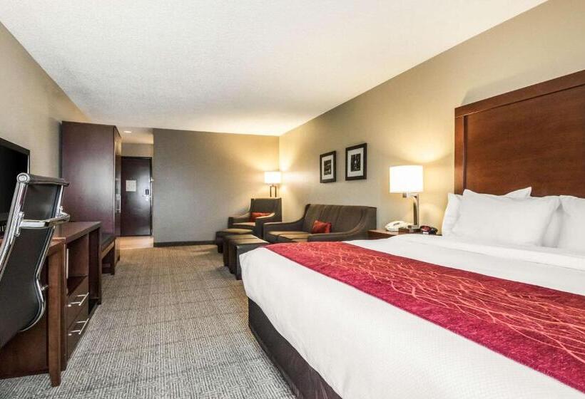 스탠다드 룸 킹사이즈 침대, Comfort Inn Ottawa Starved Rock Area