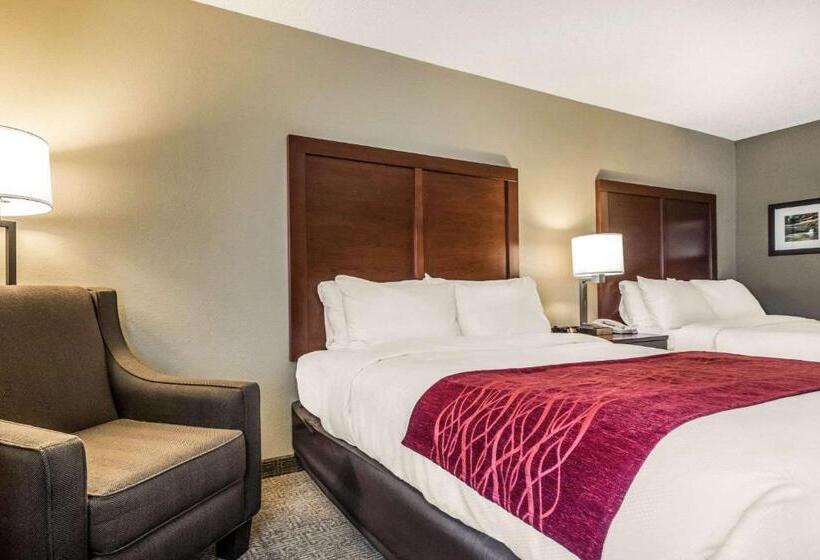 스탠다드 룸, Comfort Inn Ottawa Starved Rock Area