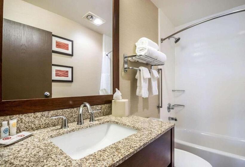 장애인을 위한 스탠다드 룸, Comfort Inn Ottawa Starved Rock Area