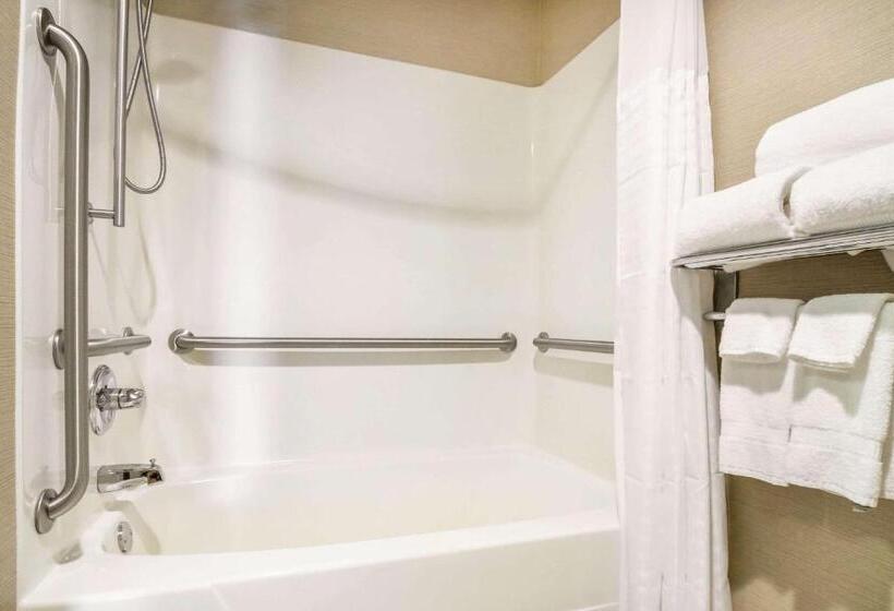 장애인을 위한 킹사이즈 침대 스탠다드 룸, Comfort Inn Ottawa Starved Rock Area