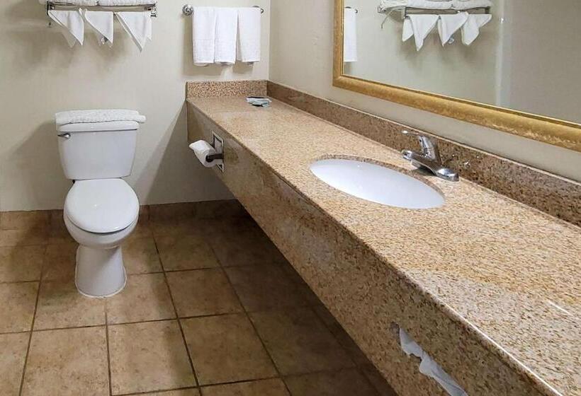 Люкс Кровать Кинг, Comfort Inn & Suites