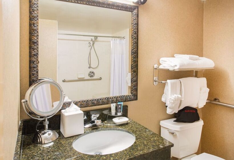 标准间, Crowne Plaza Denver International Airport, An Ihg