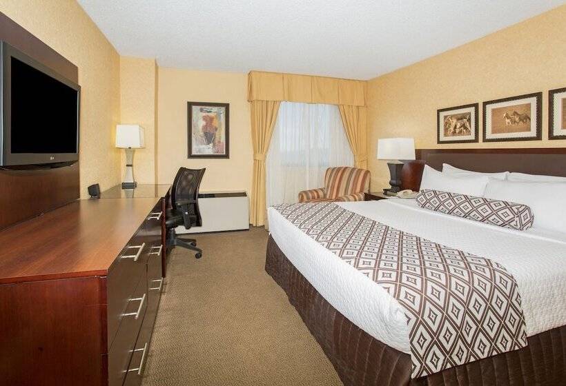 标准间, Crowne Plaza Denver International Airport, An Ihg