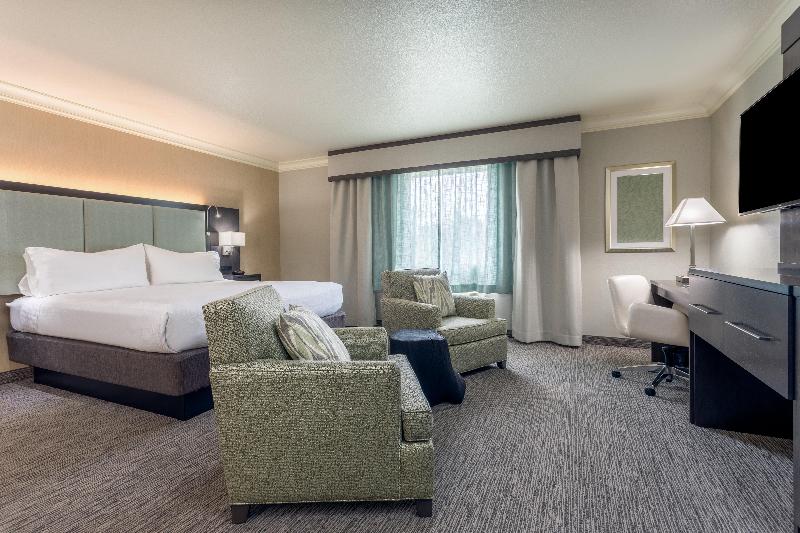 이그제큐티브 룸 킹사이즈 침대, Holiday Inn Auburn, An Ihg
