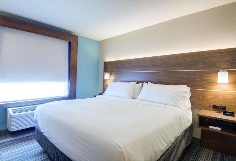 스위트 킹사이즈 침대, Holiday Inn Express & Suites North Platte, An Ihg