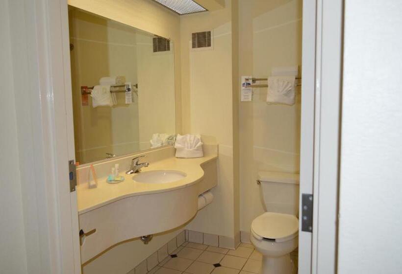 اتاق اجرایی با تخت بزرگ, Opal Hotel & Suites