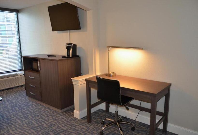 اتاق اجرایی با تخت بزرگ, Opal Hotel & Suites