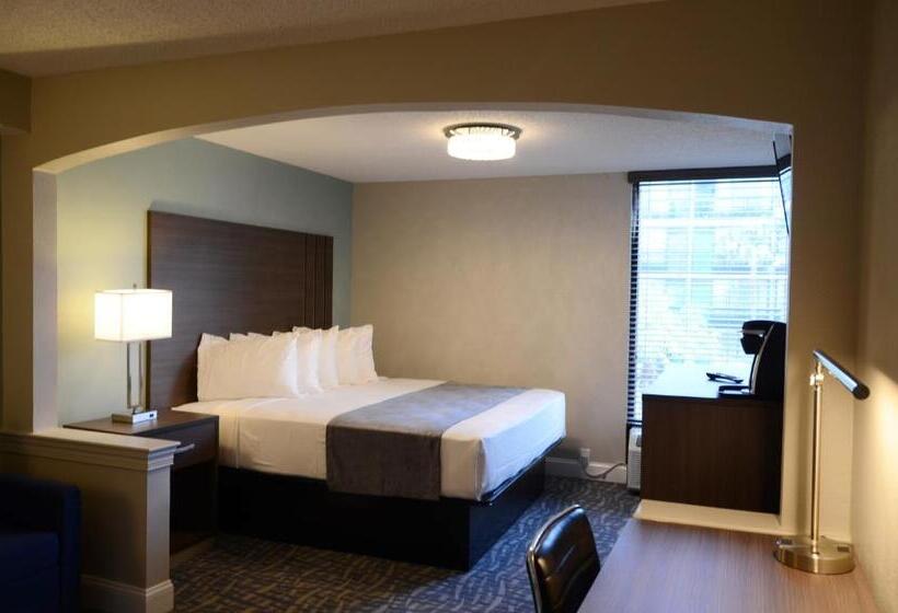 اتاق اجرایی با تخت بزرگ, Opal Hotel & Suites