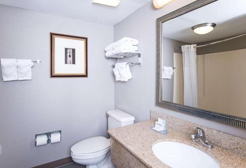 Стандартный Номер Кровать Кинг, Clarion Hotel & Conference Center Leesburg