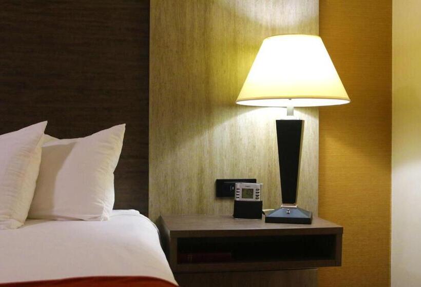 Стандартный Номер Кровать Кинг, Best Western Galleria Inn & Suites